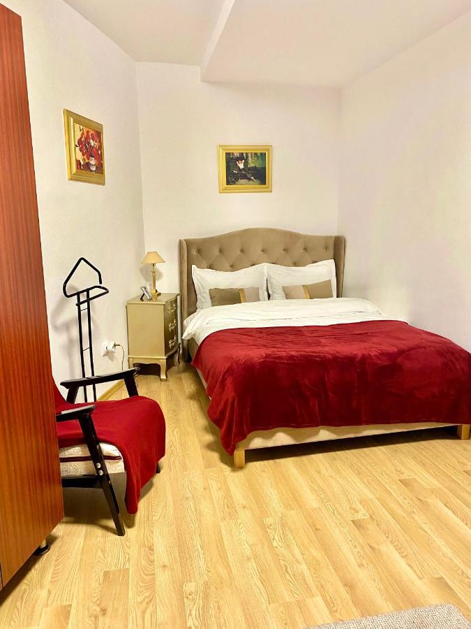Studio Panoramic With Balcony And Parcul Unirii View Алба Юлия Екстериор снимка
